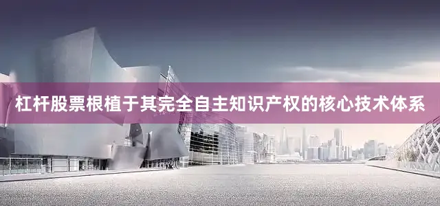 杠杆股票根植于其完全自主知识产权的核心技术体系