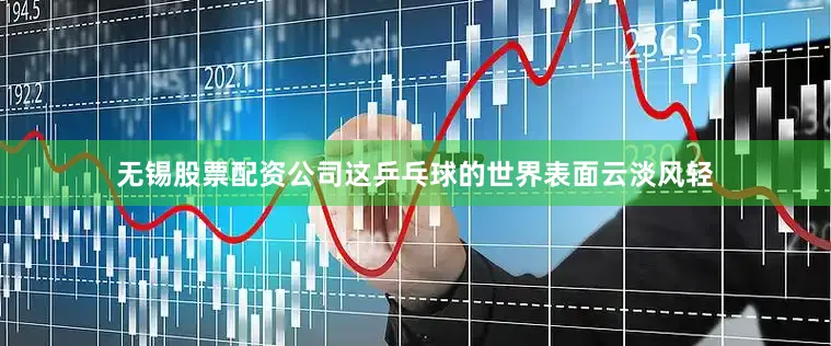 无锡股票配资公司这乒乓球的世界表面云淡风轻