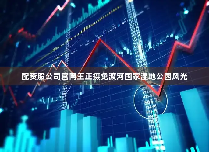 配资股公司官网王正摄免渡河国家湿地公园风光