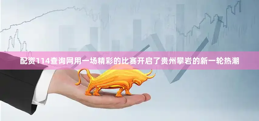 配资114查询网用一场精彩的比赛开启了贵州攀岩的新一轮热潮