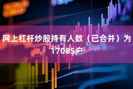 网上杠杆炒股持有人数（已合并）为17085户