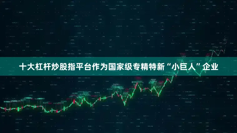 十大杠杆炒股指平台作为国家级专精特新“小巨人”企业