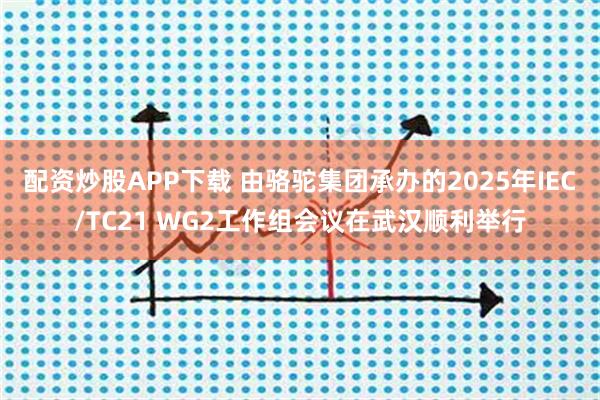 配资炒股APP下载 由骆驼集团承办的2025年IEC/TC21 WG2工作组会议在武汉顺利举行