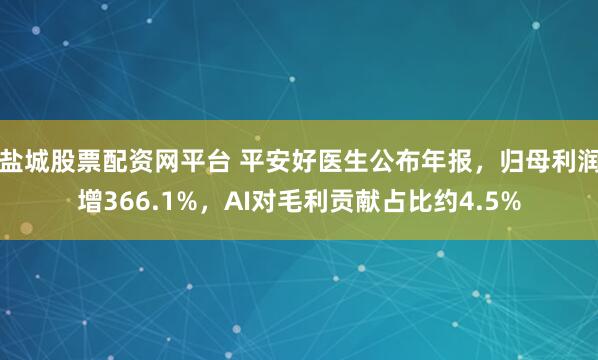 盐城股票配资网平台 平安好医生公布年报，归母利润增366.1%，AI对毛利贡献占比约4.5%